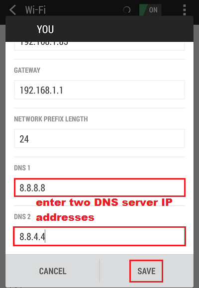 Nhập 8.8.8.8 vào khung DNS 1 và 8.8.4.4 vào khung DNS 2.