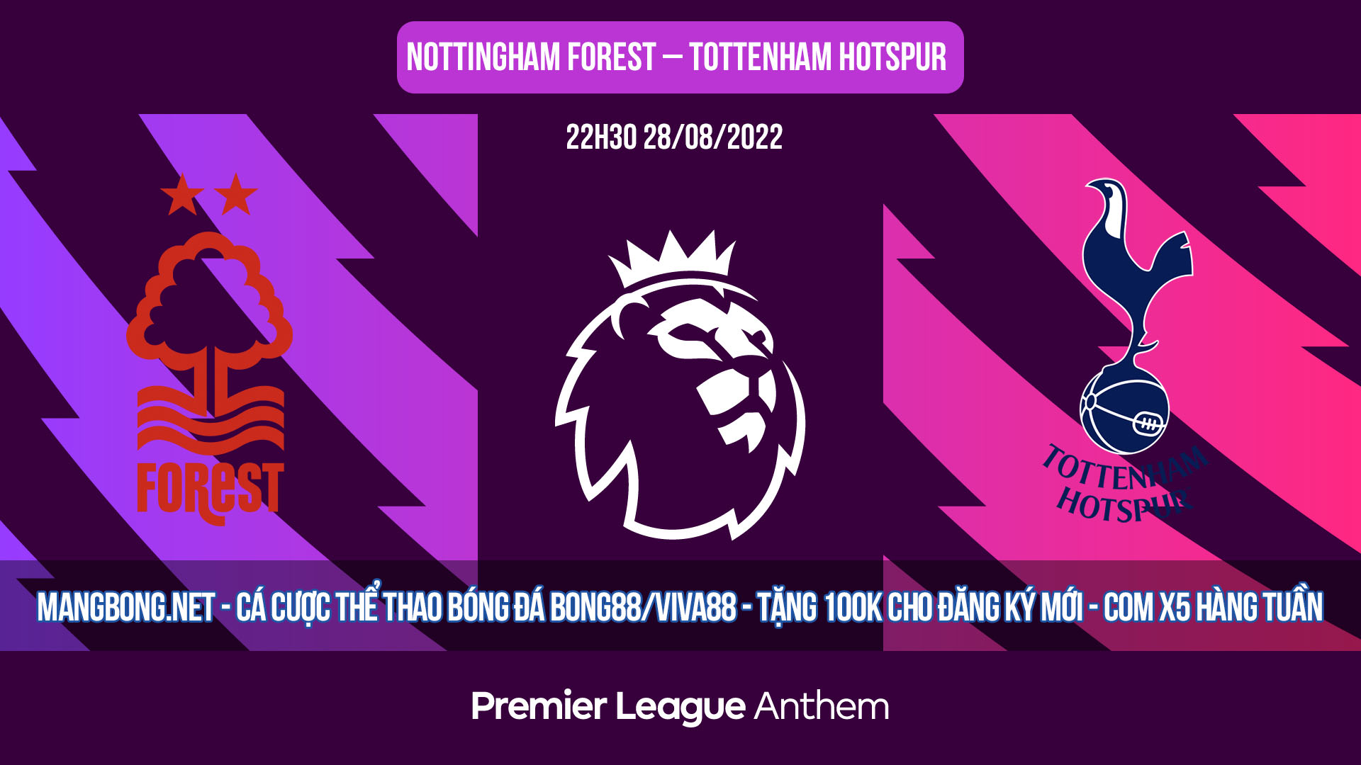 Soi kèo bóng đá Nottingham Forest vs Tottenham Vòng 4 NHA